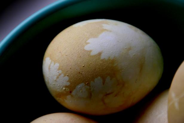 A Cilantro Egg dyed egg