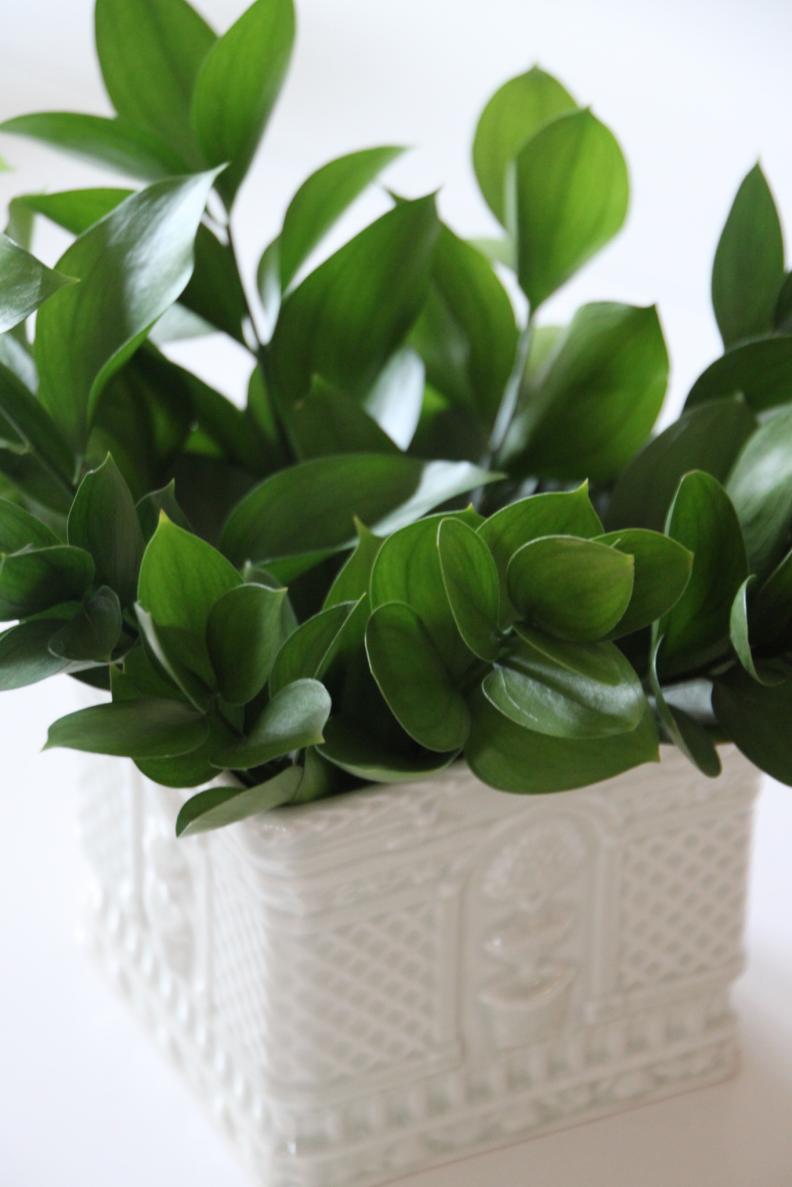 greenery in planter