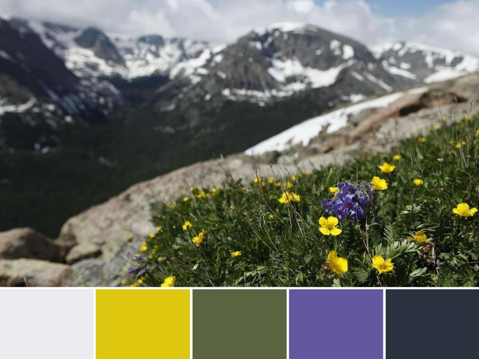 18 Color Palettes Inspired by National Parks | Color Palette and