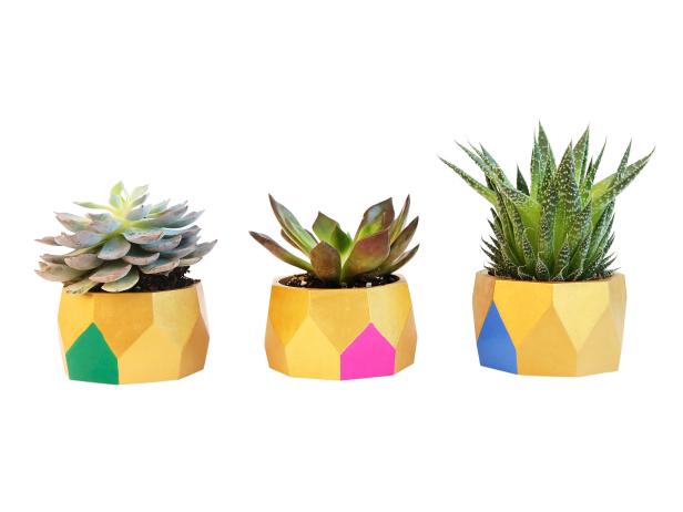 Blogger DIY Bracelet Planters Blogger DIY Bracelet Planters