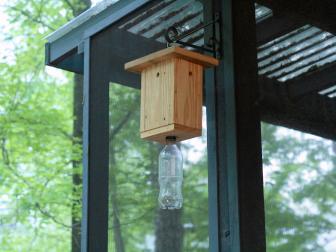 Add a hook or sting to the top for hanging purposes and thread bottle on to trap bottom. Hang securely along fascia, in an area where carpenter bees have been seen previously. When trap is full, bottle may be discarded and replaced.