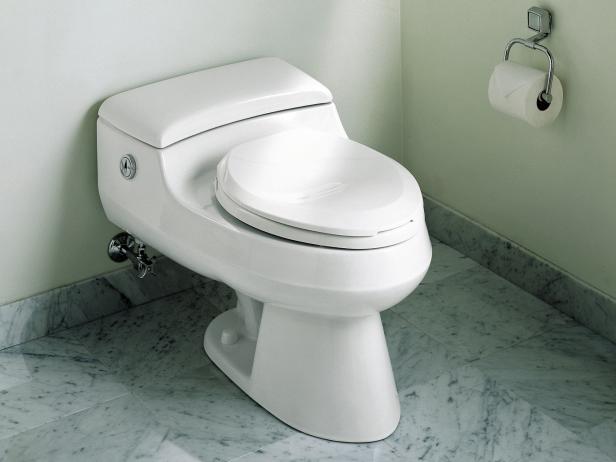 Kohler’s San Raphael toilet has pressure-assist technology that uses a mere one gallon per flush.