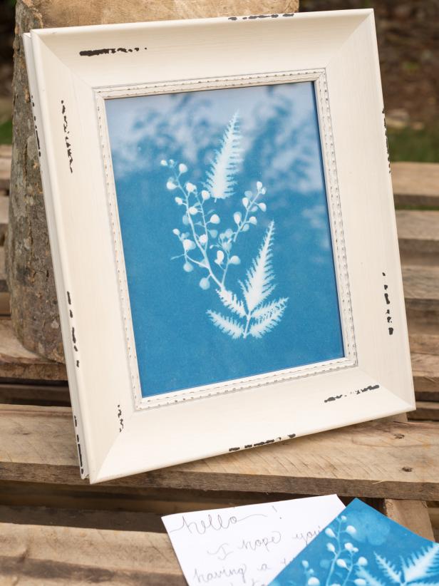 Arrange flowers on sun print paperLay a piece of acrylic over the flowers and paper to sharpen edges and ensure no sun sneaks beneath leaves of flowersPlace print in direct sunlight for 2-5 minutes or until the paper turns white.Rinse paper in waterHang to dry (on clothesline)