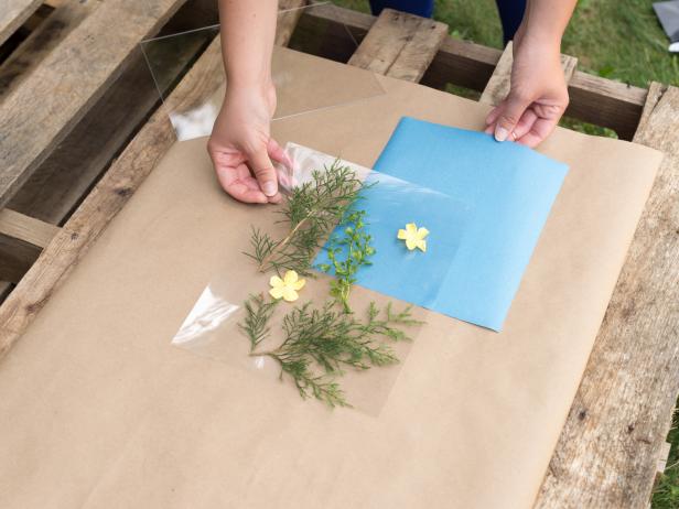 Arrange flowers on sun print paperLay a piece of acrylic over the flowers and paper to sharpen edges and ensure no sun sneaks beneath leaves of flowersPlace print in direct sunlight for 2-5 minutes or until the paper turns white.Rinse paper in waterHang to dry (on clothesline)
