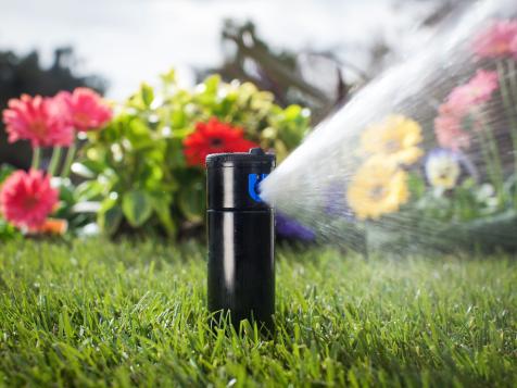 How to Water Your Lawn the Right Way