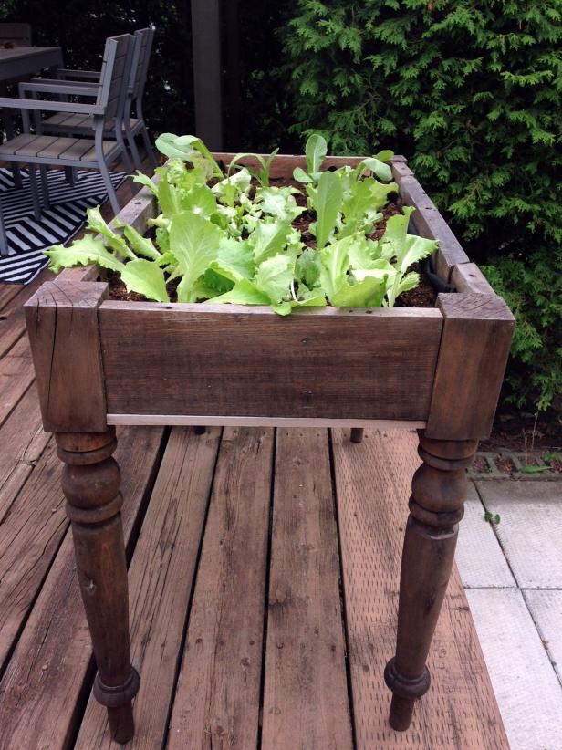 Salad Table Salad Table