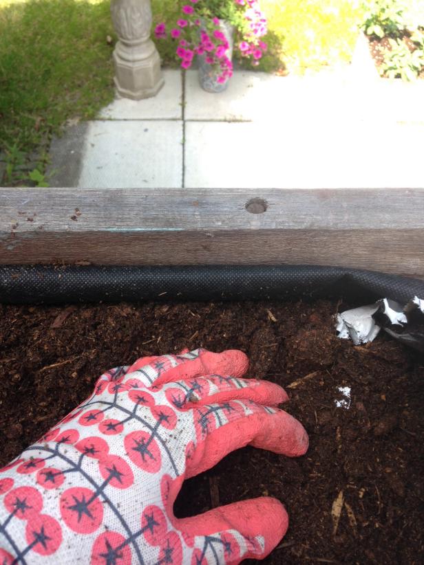 Adding Soil Adding Soil