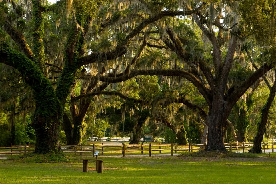 Where On St Simons Is The Dream Home Where On St Simons Is The Dream Home