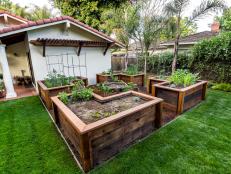Southwestern Home With Backyard and Raised Garden Beds