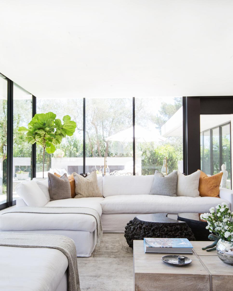 Modern Living Room With Glass Walls Modern Living Room With Tree