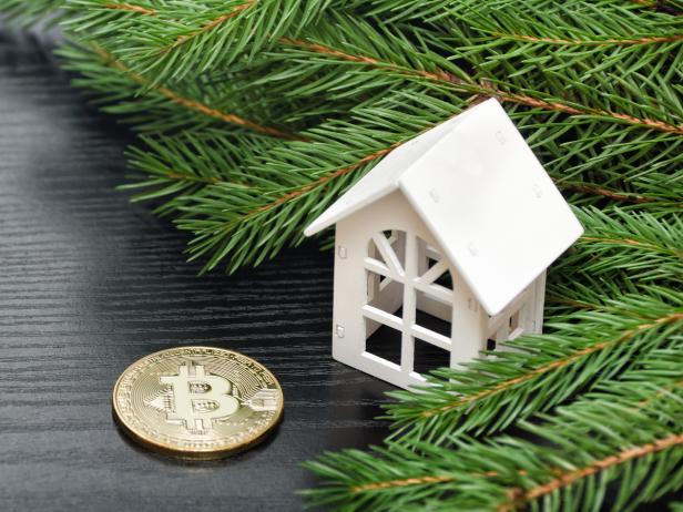 White house on a background of a green fir branch and coin Bitcoin