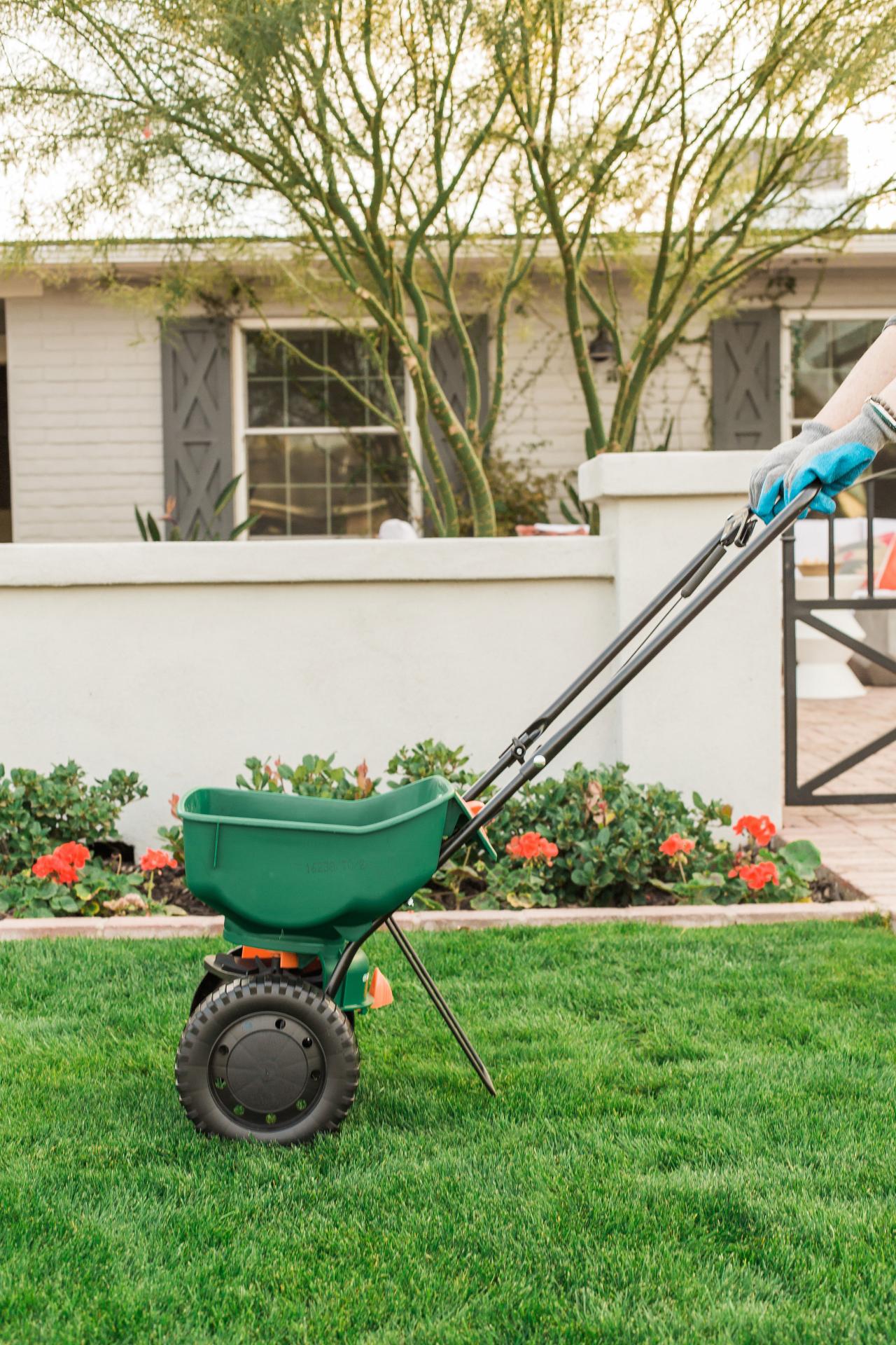 How to Seed Your Lawn This Winter HGTV