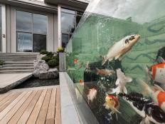 Contemporary Backyard With Giant Fish Tank