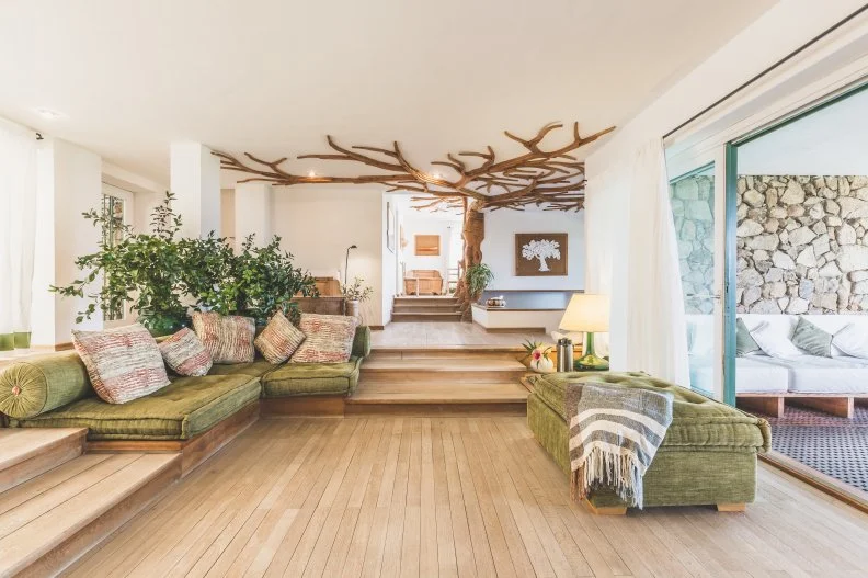 Living Room With Green Sofa