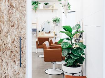Welcoming Salon Environment with Green Plants