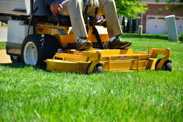 Lawn Mower Lawn Mower