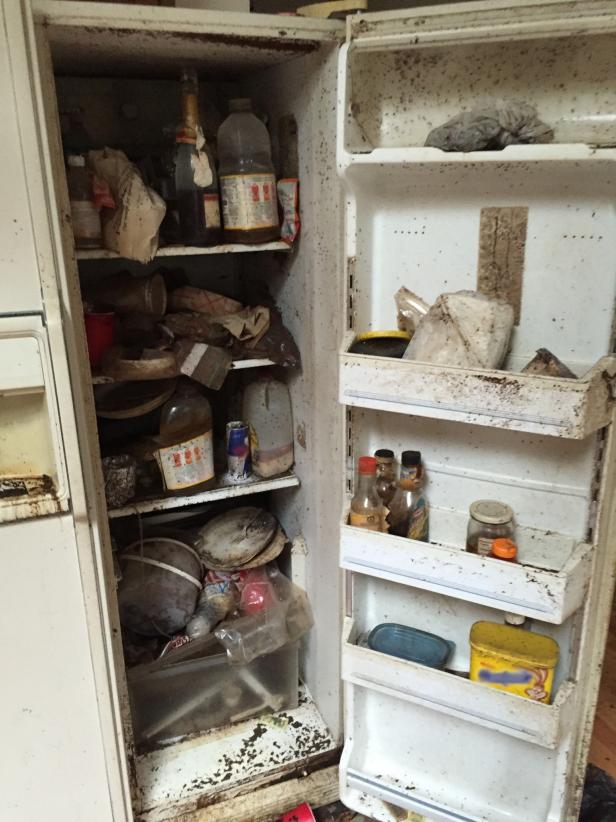 Ice-Age Refrigerator, Before