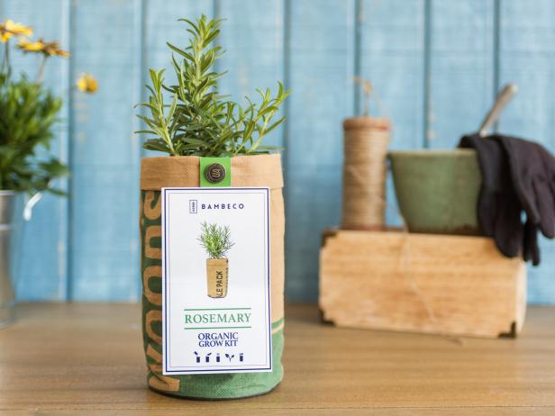 Bambeco Herb in a Bag Rosemary Bambeco Herb in a Bag Rosemary