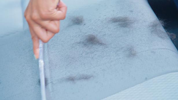 Using a squeegee to remove pet hair