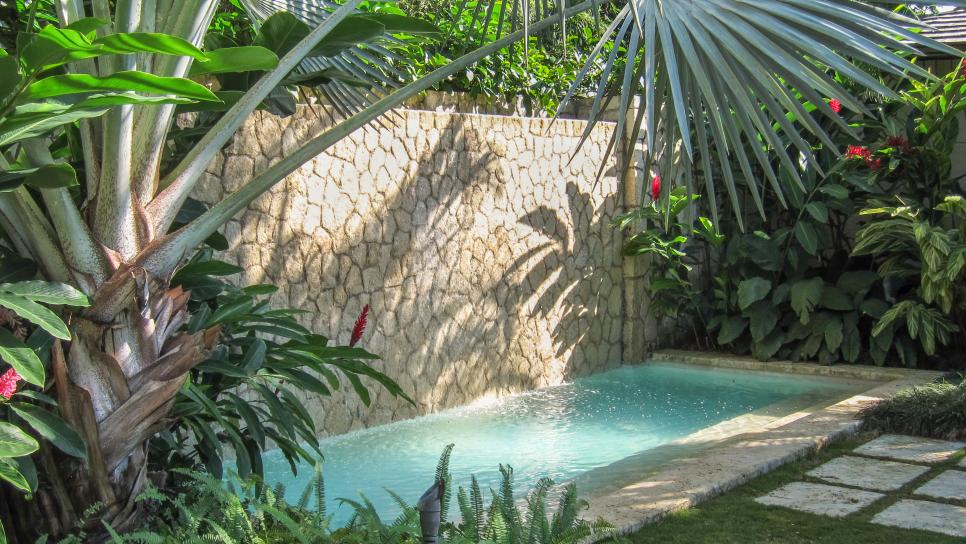 Soothing Stone Accent Wall tropical garden with water feature