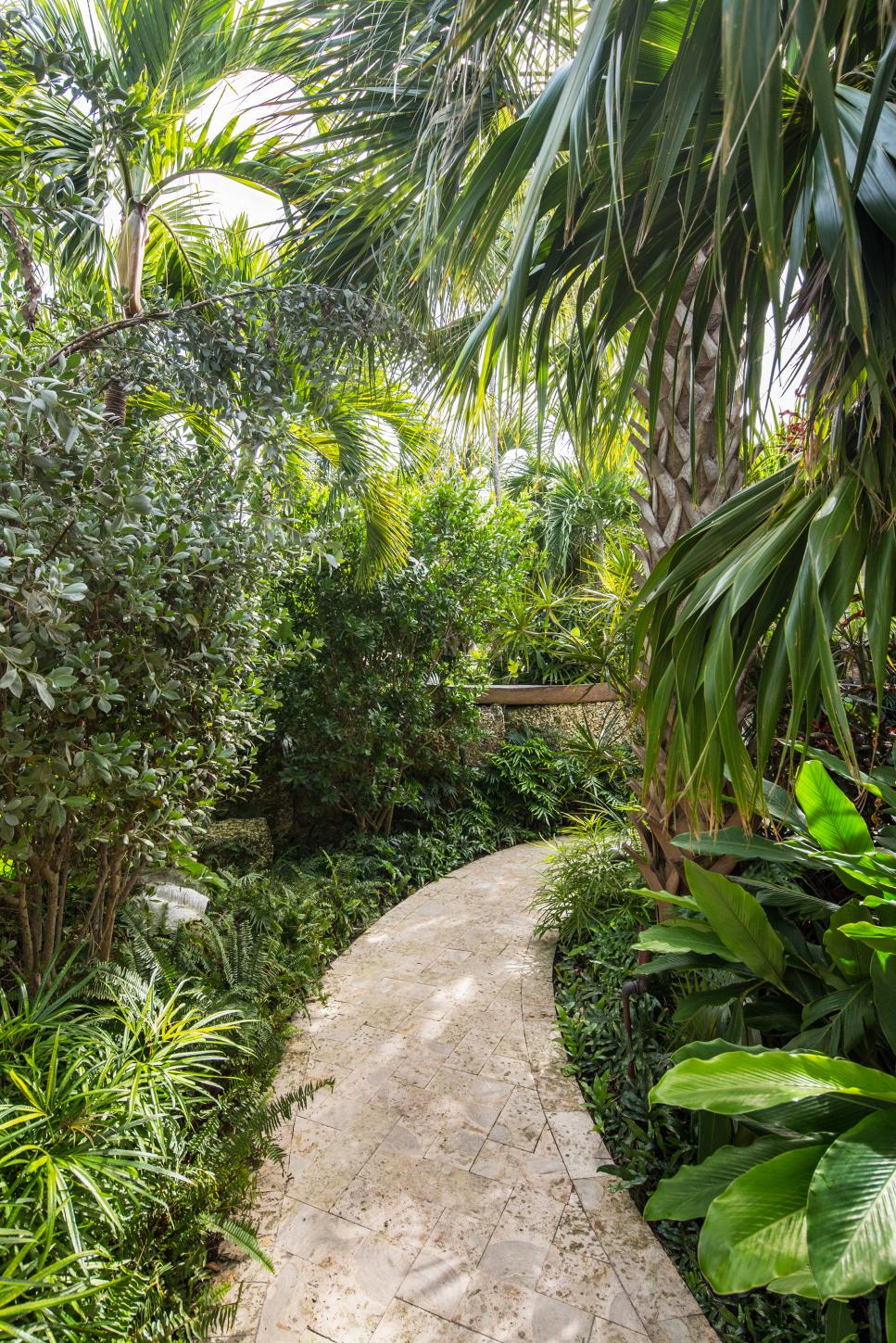 Walkway Surrounded By Lush Vegetation tropical garden with stone walkway