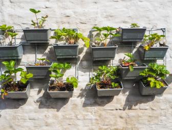 Vertical Gardening With Flower Boxes