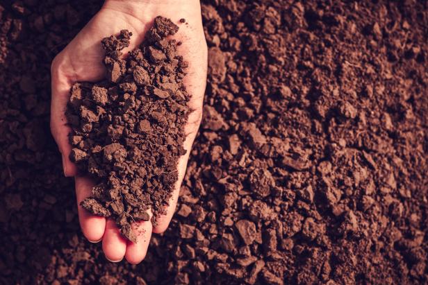 Handful of Soil Handful of Soil