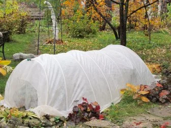 Floating Row Cover Over Plants