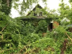 The original exterior of the Sanders house that Mina and Karen are renovating together, the house is completely taken over by overgrown greenary as seen on Good Bones 