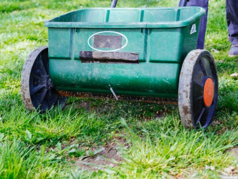 How to Sow Grass Seed in Winter