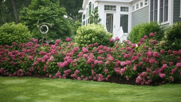 25 Plants for Instant Curb Appeal in Front of Your House