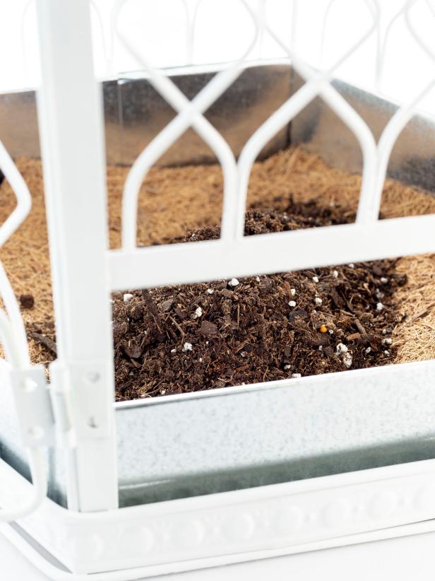 Create a succulent garden inside a birdcage.