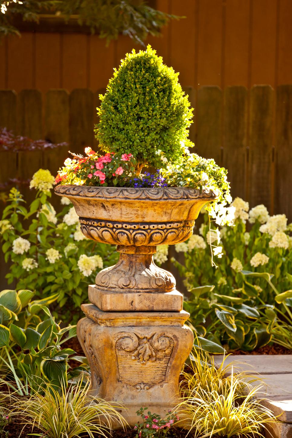 Boxwood Topiary With Colorful Underplantings in Pedestal Urn Pedestal Urn With Boxwood Topiary