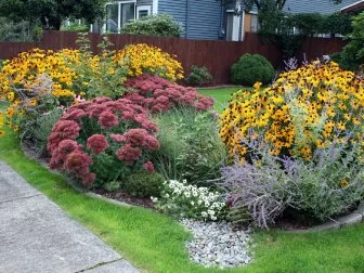 Front Yard Rain Garden