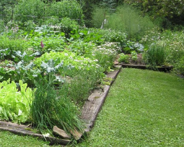 Lawn timbers as flower bed border