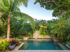 Tropical Backyard and Pool