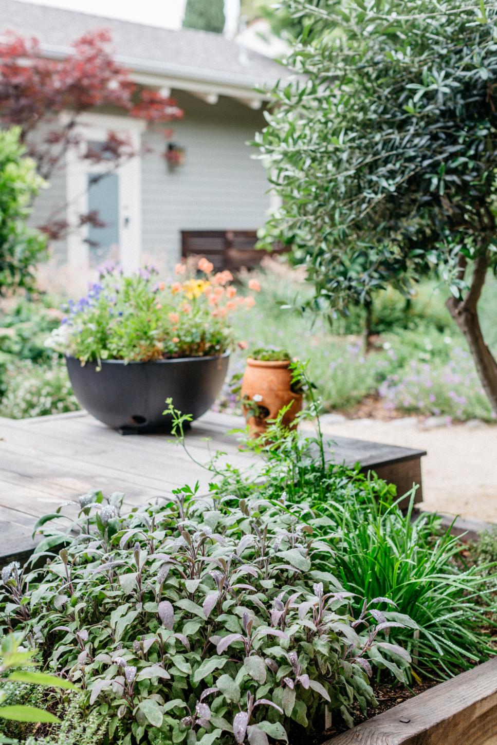 Herb Garden in Raised Bed Raised Herb Garden