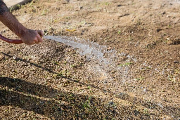 Soil needs to be moist when you lay sod. Water it well 24 to 48 hours before installation.