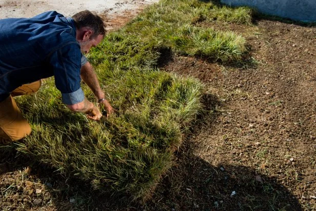 Unrolling Sod