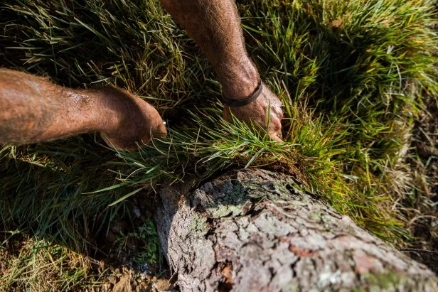 Laying Sod Around Tree