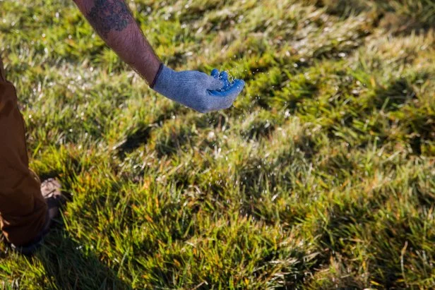 Fertilizing New Grass