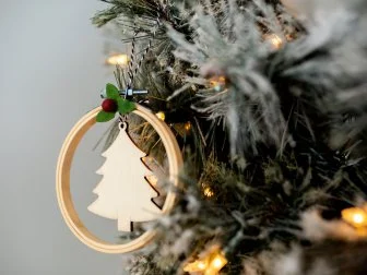 DIY Ornament