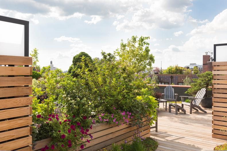 Urban Rooftop Garden