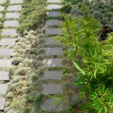 Grasses and Square Stone Walkway