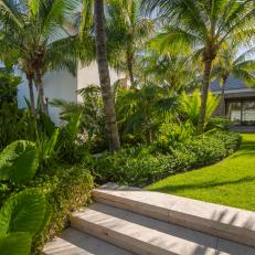 Lawn With Tropical Plant Border