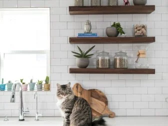 White Kitchen and Cat