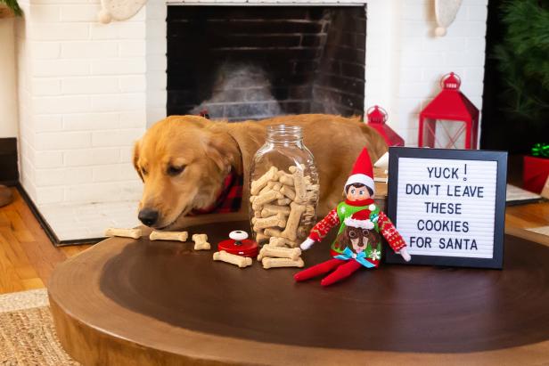 An Elf on the Shelf® sits on a table while a large dog eats treats.