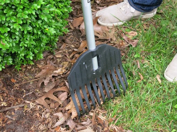 Raking Leaves For Mulch Leaf Mulch For Shrubs