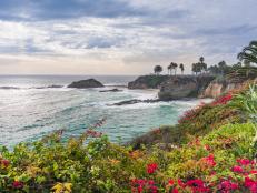 Laguna Beach in Southern California with flowers and cliff.