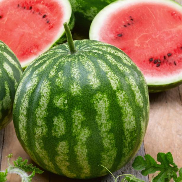 Watermelon Cal Sweet Bush Bush Watermelon Ice Box Watermelon